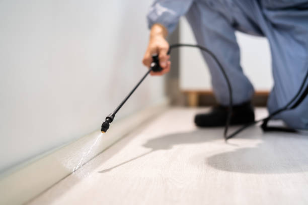Bed Bug Pre-Treatment Preparation Assessment in Pixley