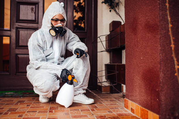 Multi-Unit and Airbnb Bed Bug Protocol in Pixley
