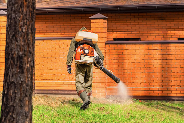 Bed Bug Clearance Verification and Documentation in Pixley
